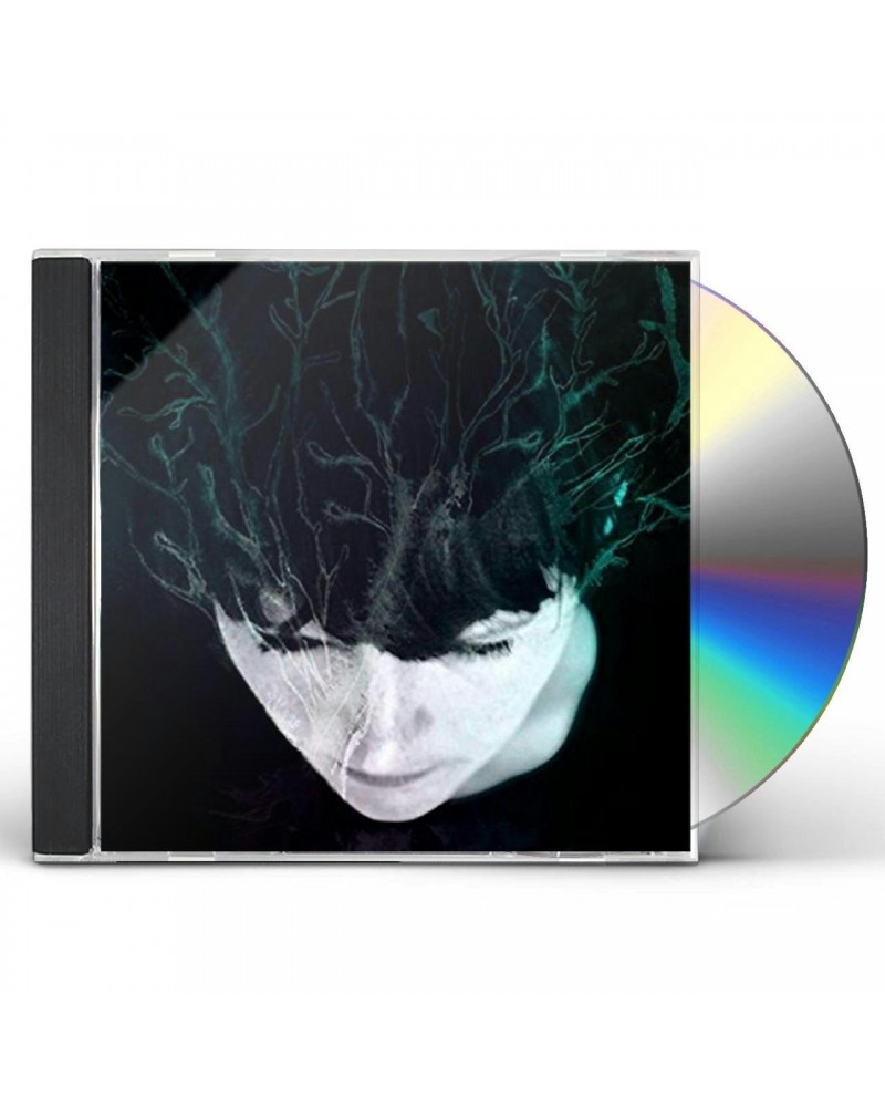 Hanne Kolstø WHILE WE STILL HAVE LIGHT CD $12.80 CD